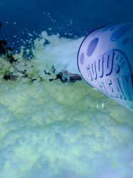 GLOW FOAM Party (30 mins=$275, 1 hr=$375, 2 hr=$450)