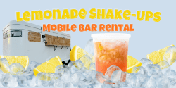 50 Lemonade Shake-Ups